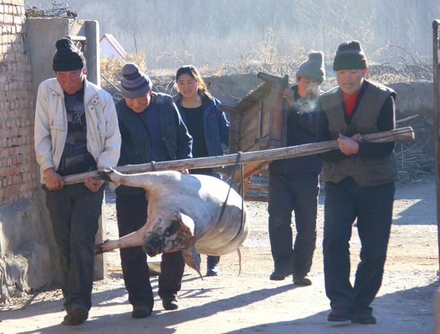 第一次就爱上小3岁的堂妹，而且偷尝了果实，网友：祝你早日康复