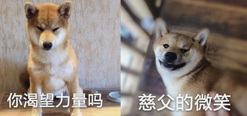 傻萌表情,麻麻,你拍好了,旺旺坐不住了新表情新气象学期包图片