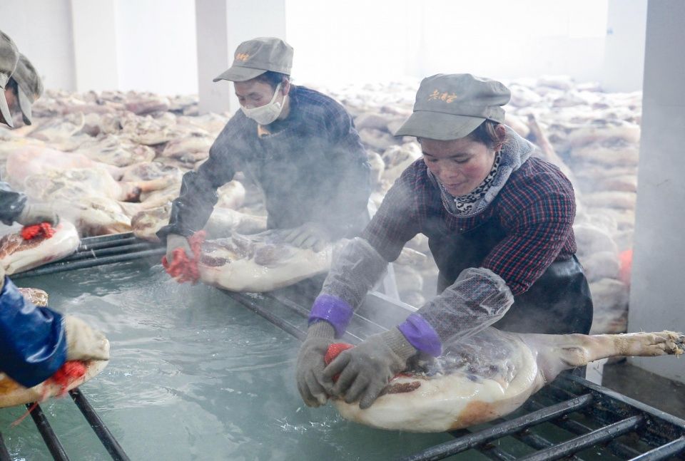 流水线上的女人:有人年入50万 有人月入3000