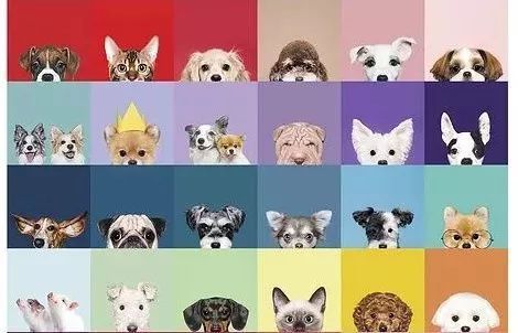 丢掉美丽滤镜，这些高颜值复古相机才是春游最佳