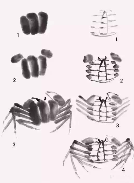 [转载]图文教程：写意螃蟹画法步骤