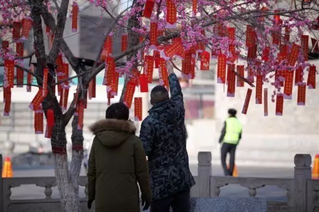 呼市人注意!春节期间这9条消息大家要知道，看到第1条很多人乐了