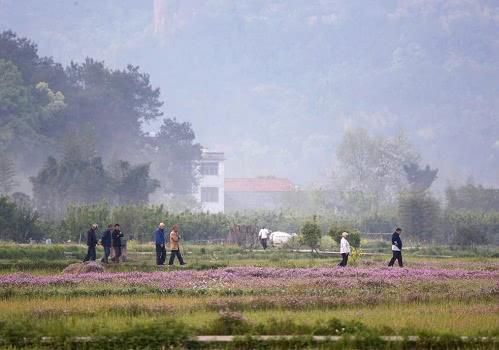 养老危机到来，专家建议每月给农民400元补贴，老农：望早点落实