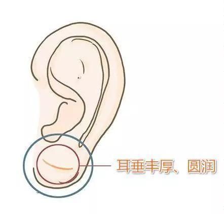 t01fd2eac9b135af8f2.jpg