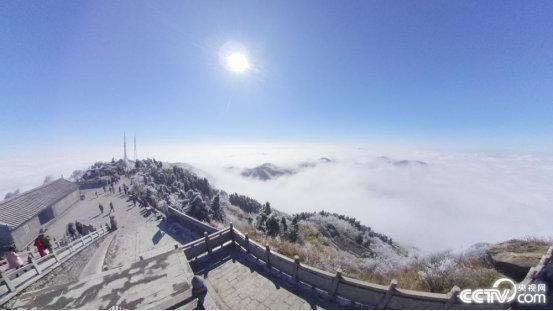 核心期刊主编回应发表儿子散文