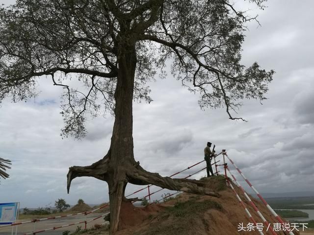 那些欲言又止的非洲照片