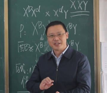 初中代词最常说的4句口头禅,听到最后一句,学初中老师结构图图片