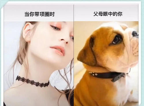 你眼中的自己vs父母眼中的你,差距太大,网友:真