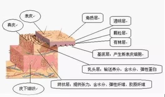 网上的这些护肤谣言，不要再相信了！否则就离毁容不远了！