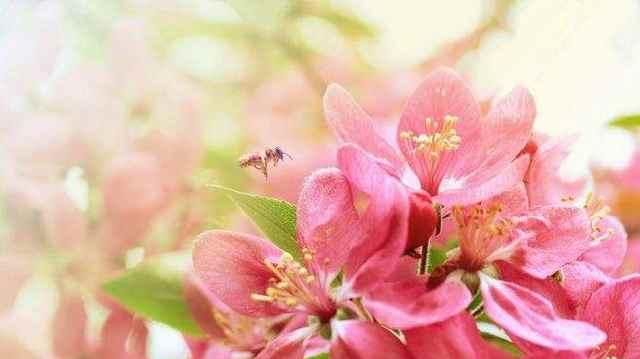 脉脉怎么知道我名字