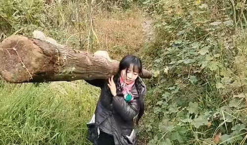 95后美女美女背转砍柴只为养一家人,农村梦想就是著名古代图片