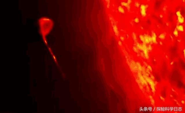 太阳附近又出怪事，疑似II级文明在汲取太阳能量，NASA拒绝解释