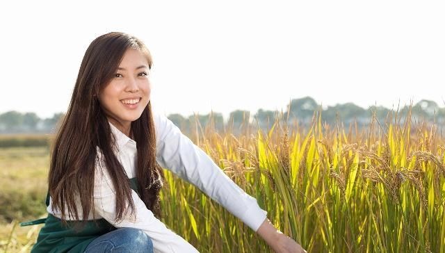 农业保险赔偿标准