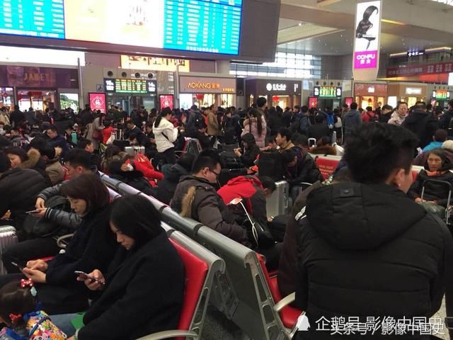 上海虹桥高铁站春运景象：千山万水挡不住游子回家过年 现场图