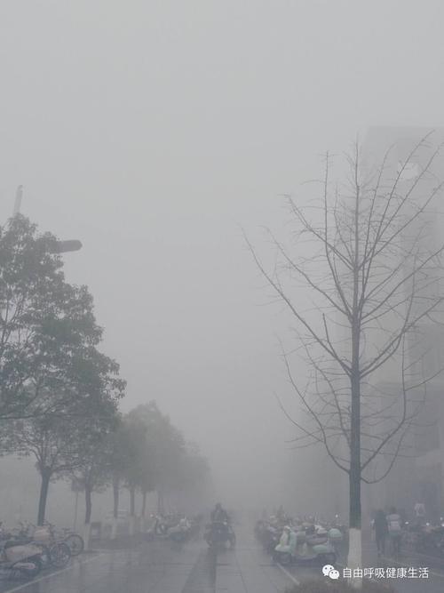 预防流感,平安过冬