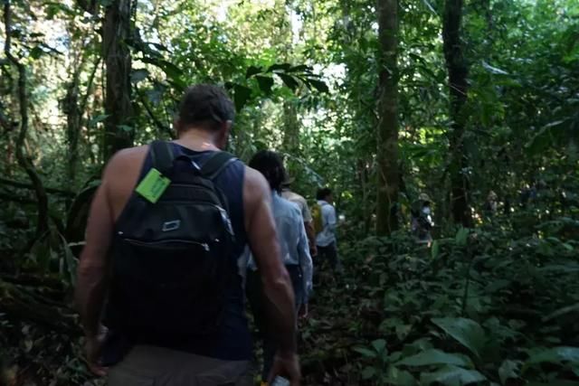 在亚马逊雨林,聆听地球呼吸的声音