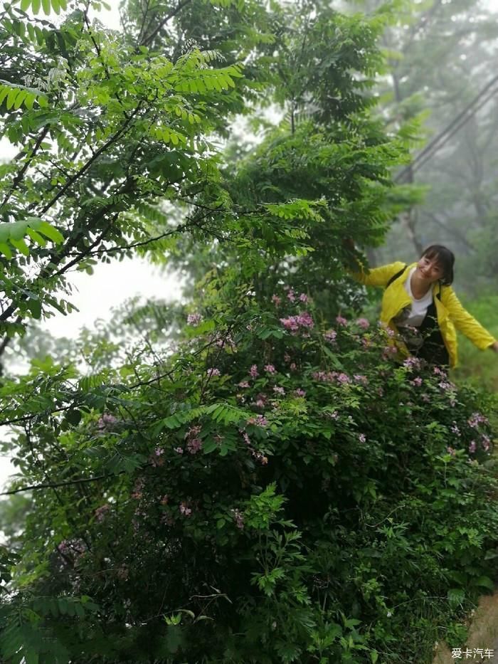 陕西福特车队秦岭大峪自驾游汇报帖
