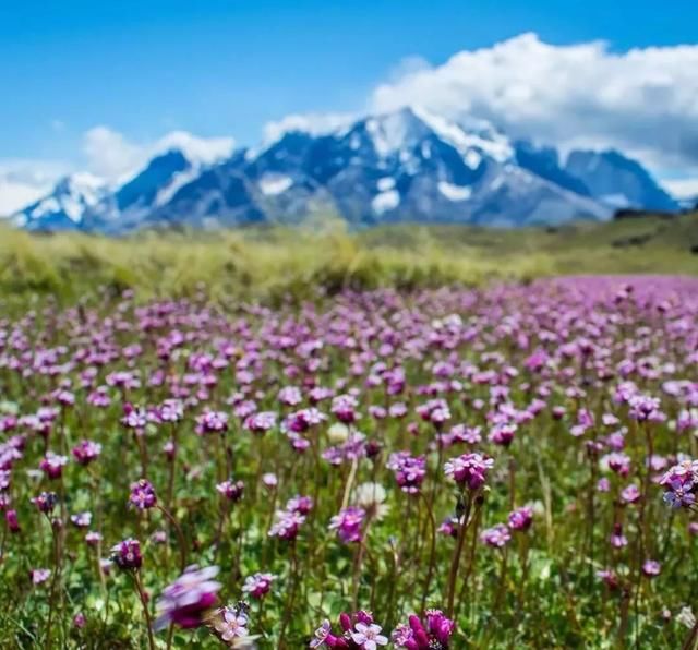 世界最佳旅游冒险目的地:智利