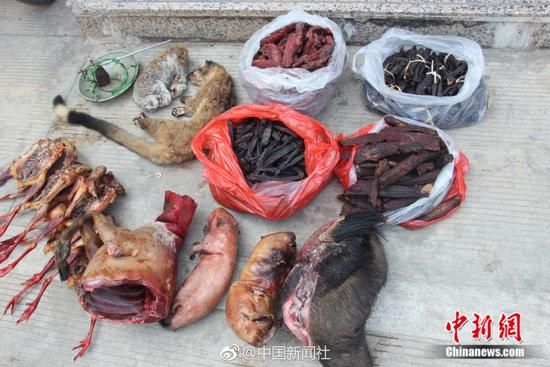 夫妻俩当街卖濒危野生动物制品 果子狸蜂猴摆一地