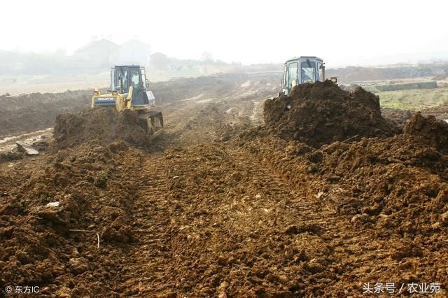 土地流转要注意的问题!别吃了大亏!