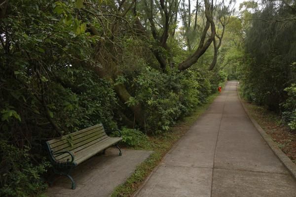 香港人口最稠密的岛屿长洲