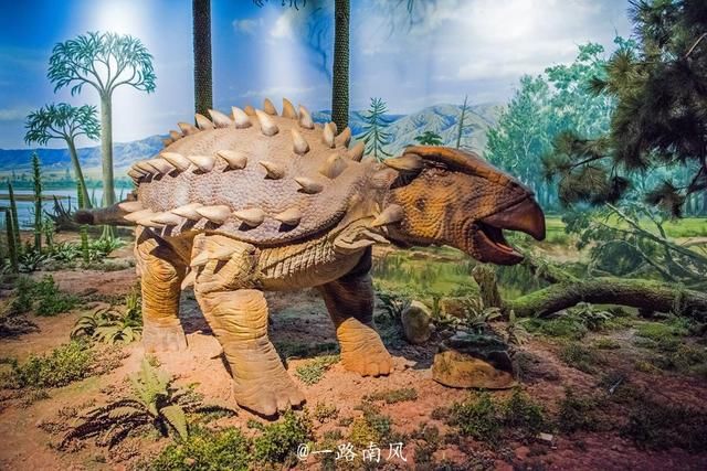 山西大同这座建筑里隐藏了2.5亿年的秘密，游客可以免费参观！