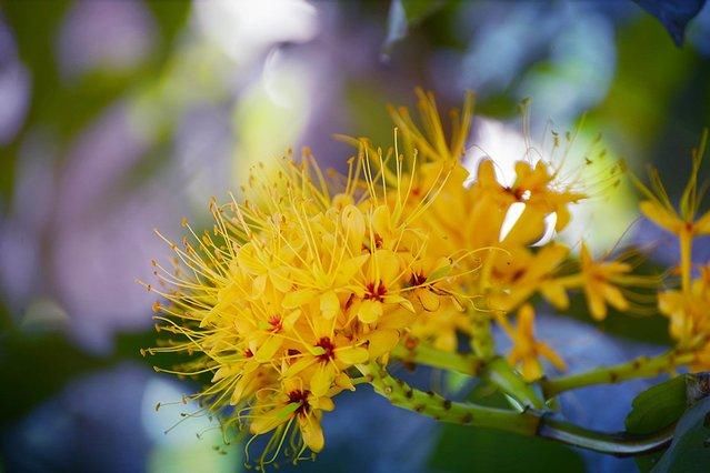 7天6晚，玩转傣历新年泼水盛会