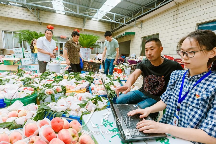 四川成都:胭脂脆桃丰收