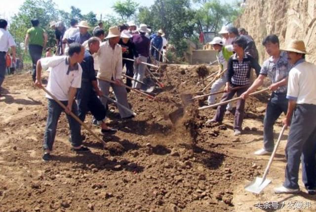 6月起，农村2条新规定开始实施了，这项费农民不用再交了!