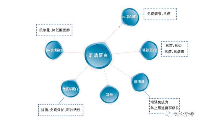 gdp低和d二聚体高临床意义_二聚体(3)