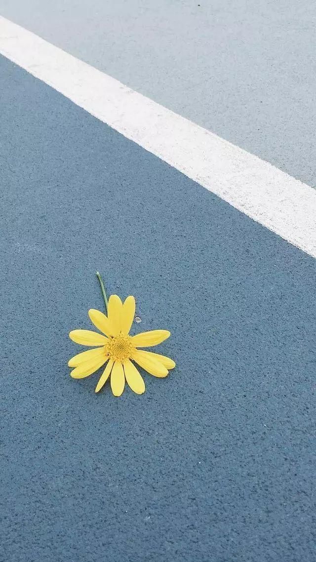 美丽的风景不在