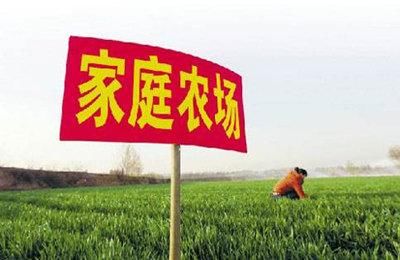 @城里人，虽然不能购买宅基地，但你还能投资这些项目！