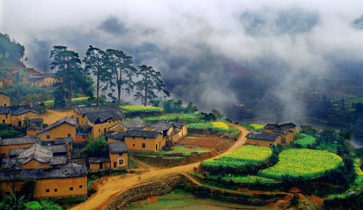 松阳办社保卡在那 松阳征地社保