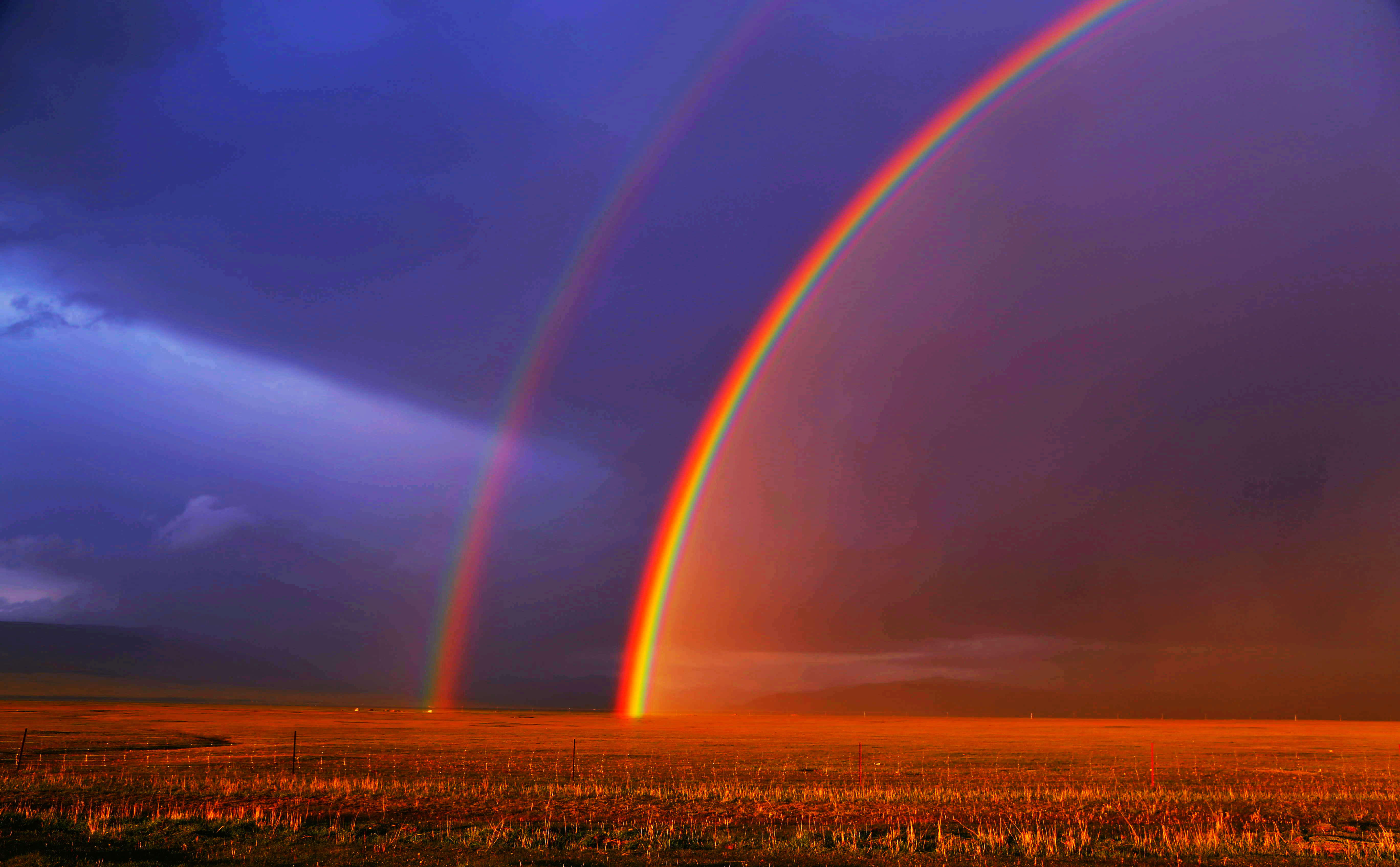 新科学理论:彩虹引力理论