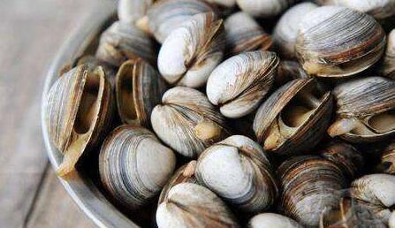 蛤壳的功效与作用 蛤壳的药用效果