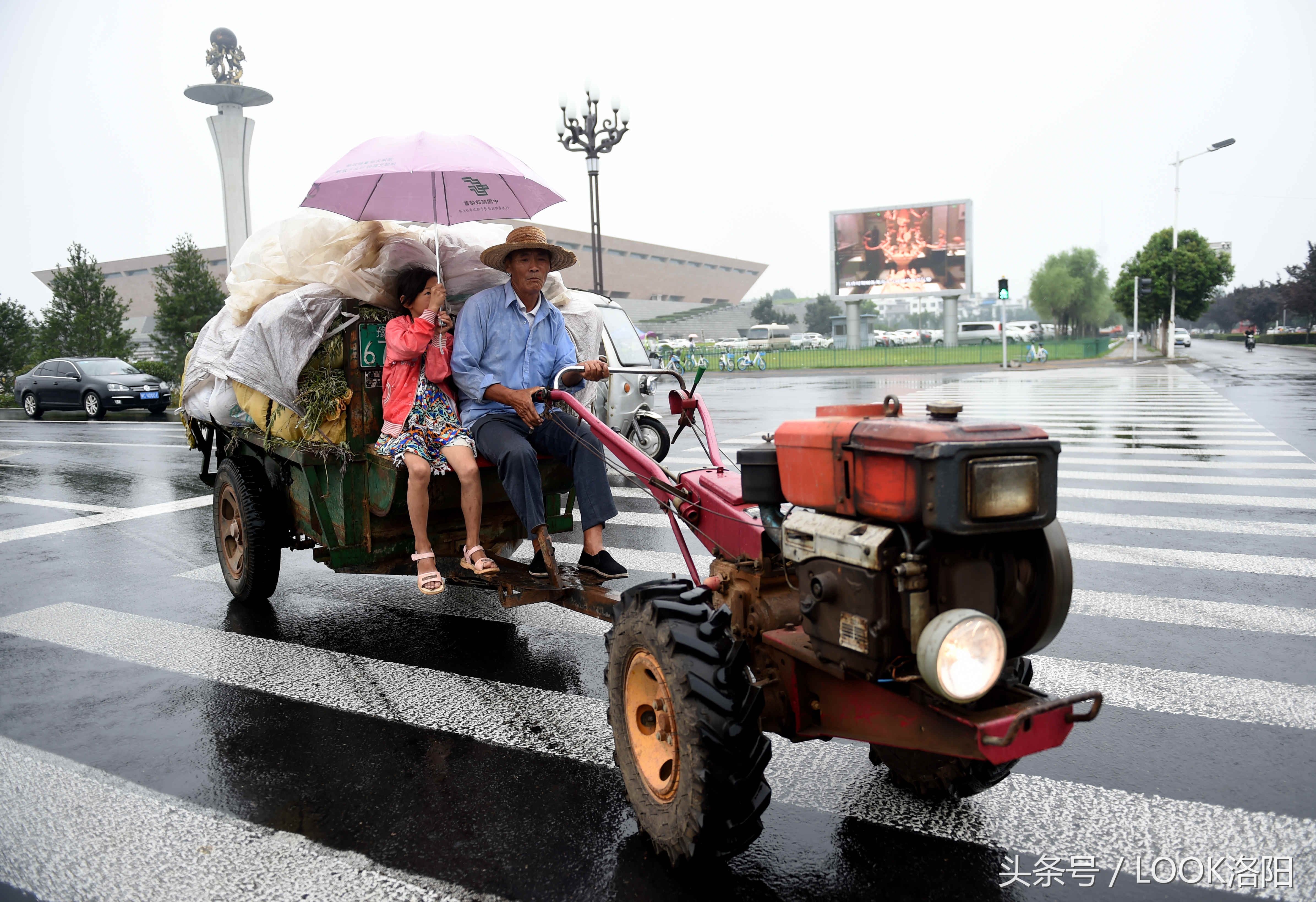 在大雨中,老孙开着拖拉机去给爱心企业送瓜.