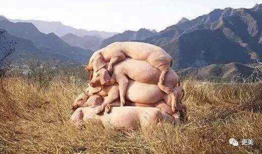 叠罗汉一样,在山顶上叠到了一起,说实话,所长并看不出来这照片的含义