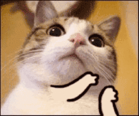 480_400gif 动态图 动图