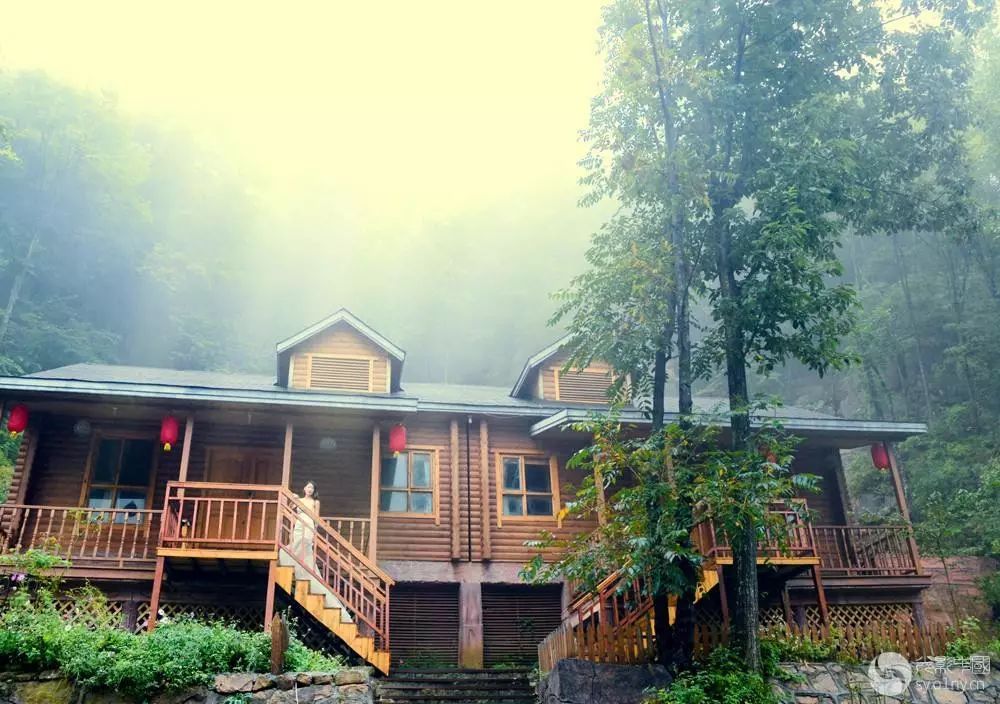 老界岭避暑小板屋 三,名副实在的天然氧吧